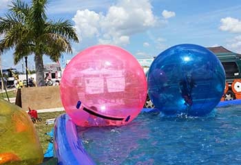 Things to Do in Punta Gorda, FL.